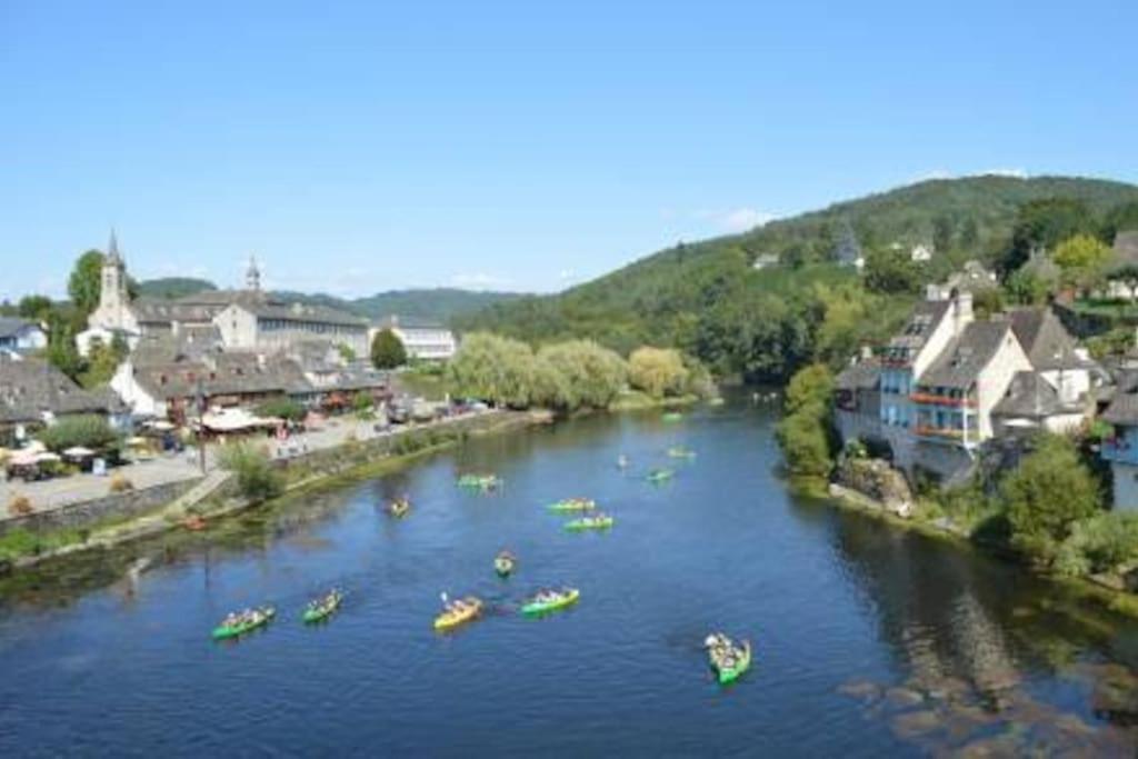 Maison En Pierre Sur Les Quais De La Dordogne Argentat Extérieur photo